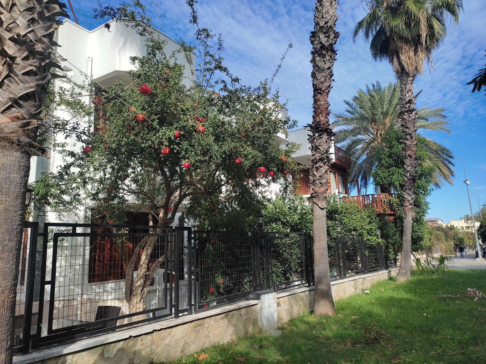 Garden Prizma Rooms&Aparts Kemer Camera foto